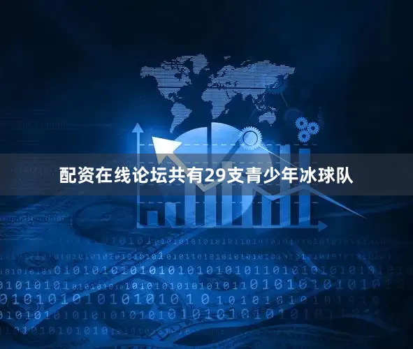 配资在线论坛共有29支青少年冰球队